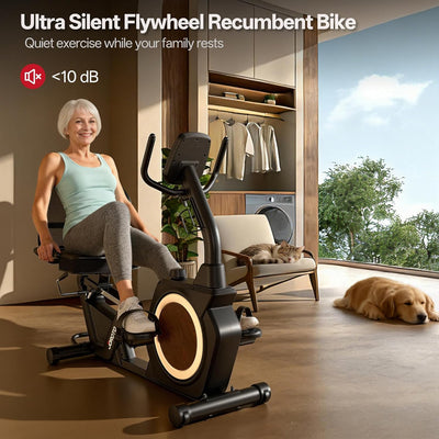 JOROTO JH50 Recumbent Exercise Bike