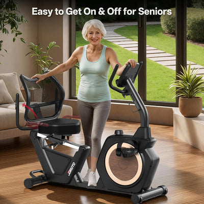 JOROTO JH50 Recumbent Exercise Bike